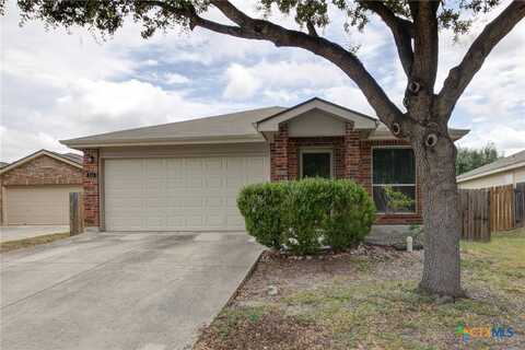 344 Ibis Falls Drive, New Braunfels, TX 78130