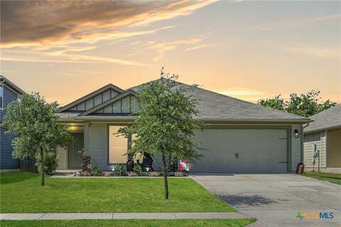 416 Cassandra Drive, Hutto, TX 78634