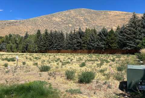 270 Sunbeam St, Hailey, ID 83333