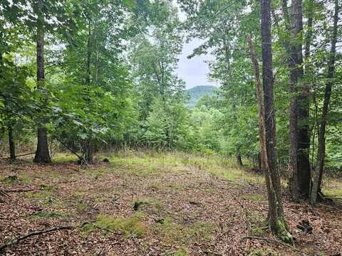 Tbd Mallard Ln, Fries, VA 24330
