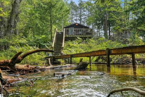 10580 E 10 Road, Manton, MI 49663
