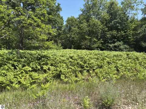 VL S Riverview, Lake City, MI 49651