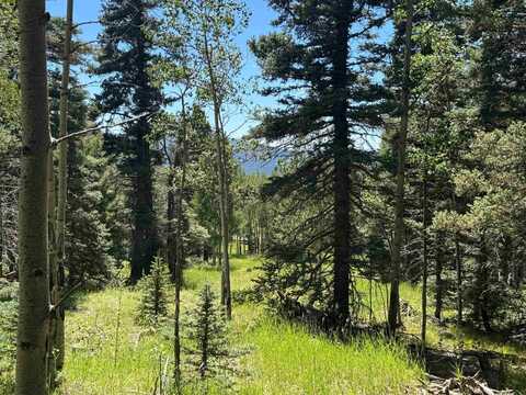 Lot 1012 El Camino Real, Angel Fire, NM 87710