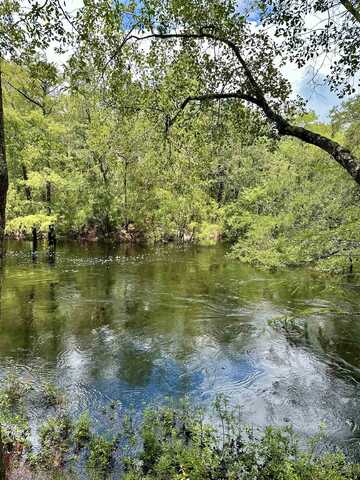 274 Mount Beasor Road, Sopchoppy, FL 32358