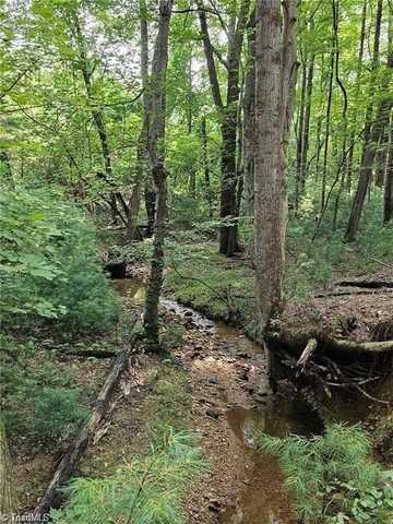 Lot 82 Mcintosh Drive, Lowgap, NC 27024