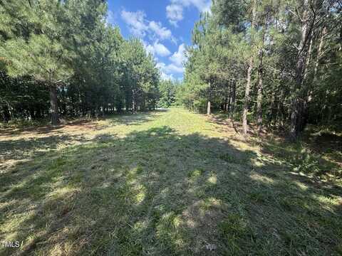 Lot 1 Nc Hwy 86 N, Providence, NC 27315