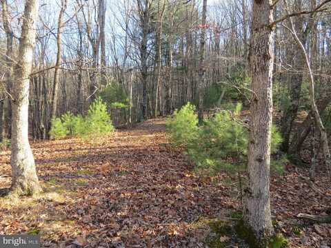 10 CEDARWOOD DRIVE ROAD, MATHIAS, WV 26812