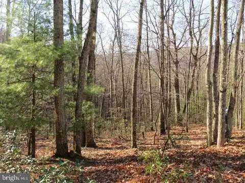 12 & 14A CEDCARWOOD, MATHIAS, WV 26812