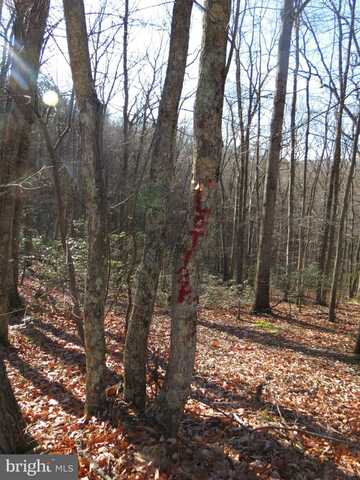 12 CEDARWOOD DRIVE ROAD, MATHIAS, WV 26812