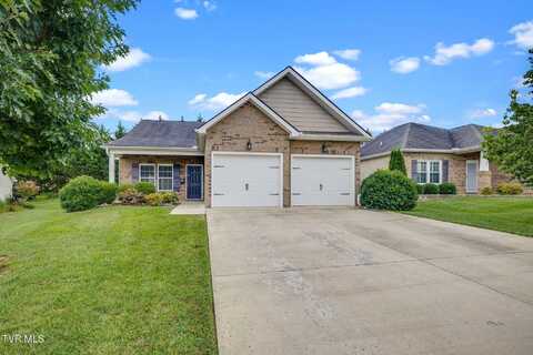257 Anthurium Avenue, Johnson City, TN 37604