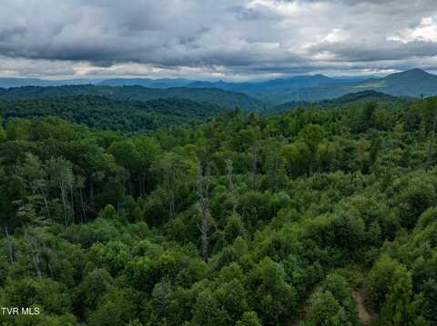 Tbd Walnut Mountain Rd Road, Roan Mountain, TN 37687