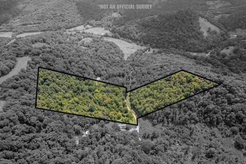 Watts Hollow Rd, BUFFALO VALLEY, TN 38548