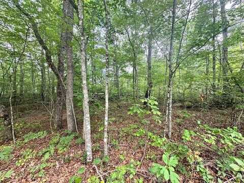 142 Mariners Dr, CROSSVILLE, TN 38558