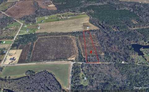 0 Shiner Pond Rd., Lakeland, GA 31635