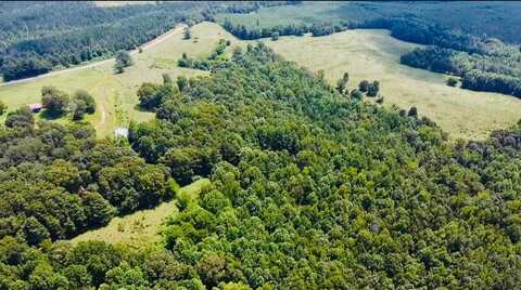 12501 STATE HWY 253, Brilliant, AL 35548