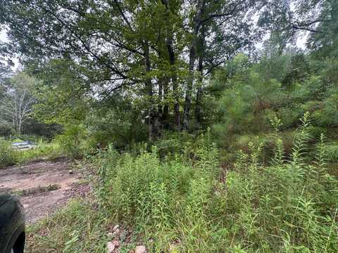 204 COUNTY ROAD 3055, Double Springs, AL 35553