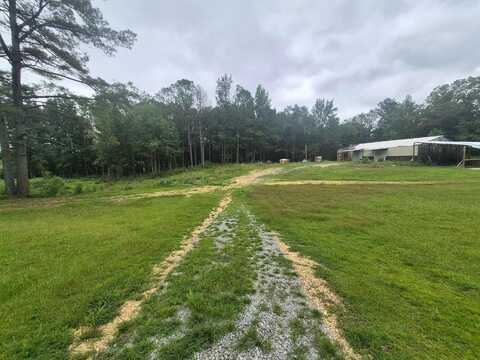 1212 CO RD 68, Guin, AL 35563