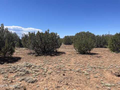 108 Colorado Avenue, Concho, AZ 85924
