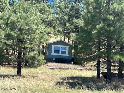 450 County Road 2104, Alpine, AZ 85920