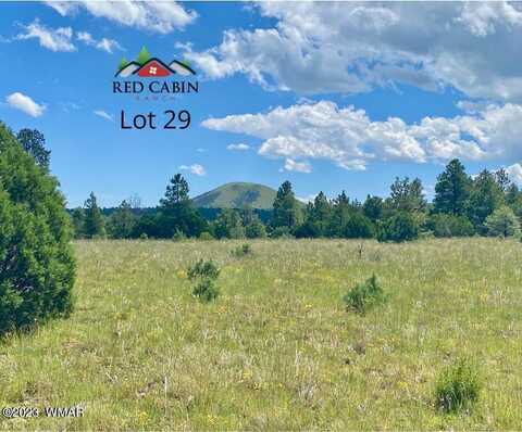 Lot 29 Red Cabin Ranch, Vernon, AZ 85940