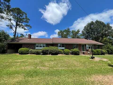 57 E Dogwood Drive, Jacksonville, GA 31544