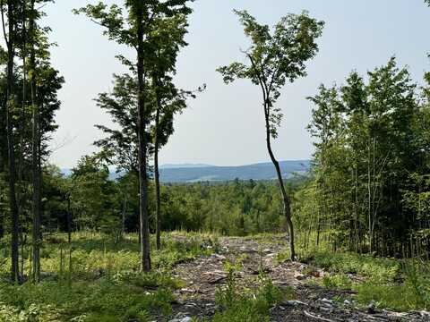 1078 General Leroy Manor Road, Dannemora, NY 12929