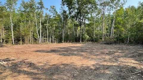 V/L LOT195 Kauffman Road, Presque Isle, MI 49777