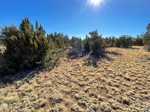 8371 HAVEN CREST Drive, Happy Jack, AZ 86024