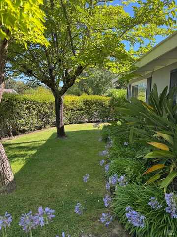 15533 Maplewood Drive, Sonoma, CA 95476