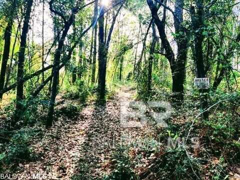 33003 Albert Hollon Lane, Lillian, AL 36549