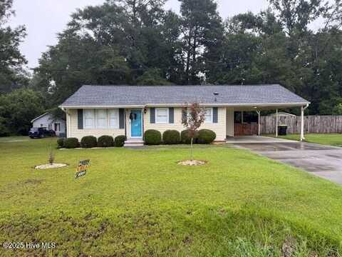 5628 Pleasant Plains Ch Road, Whiteville, NC 28472