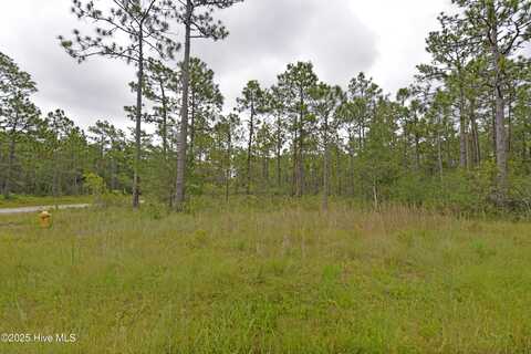 L-272 E Boiling Spring Road, Southport, NC 28461
