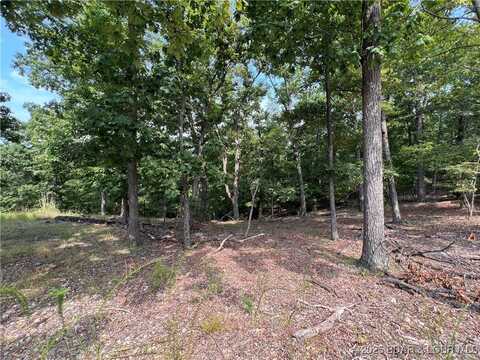 630 Eagle Drive, Four Seasons, MO 65049