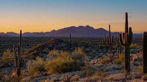 12545 N 300th Lane, Buckeye, AZ 85396