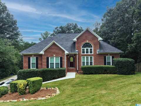 305 WOODBURY DRIVE, STERRETT, AL 35147