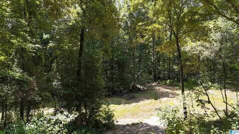 2170 BIRMINGHAM ROAD, CENTREVILLE, AL 35042