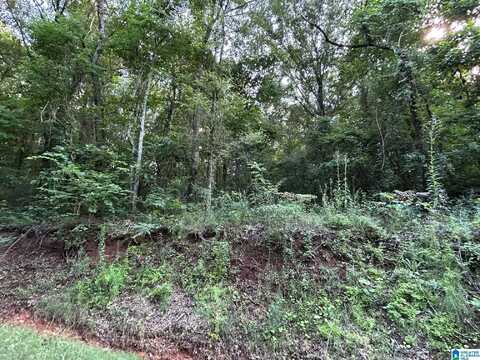 0 COUNTY ROAD 31, ALEXANDRIA, AL 36250
