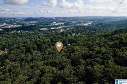 889 VELMONT LANE, HOMEWOOD, AL 35226