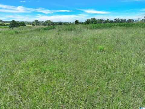 0 HIGHWAY 191, JEMISON, AL 35085