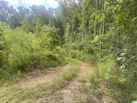 1700 LAKESIDE DRIVE, Mc Calla, AL 35111
