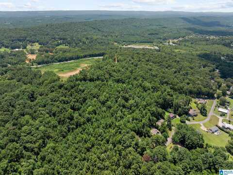 0 SUNSHINE AVENUE, ONEONTA, AL 35121