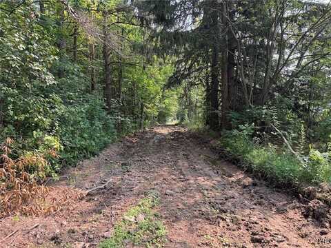 Allen Road, Sardinia, NY 14055