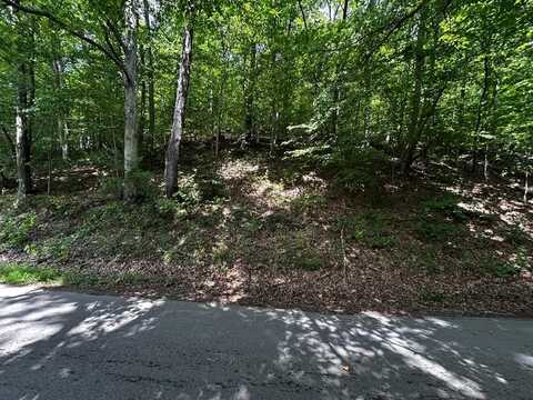 0 Greenbrier Rd, Garrison, KY 41141