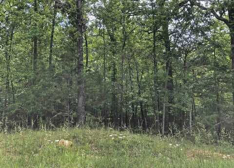 Okmulgee Drive, Cherokee Village, AR 72529