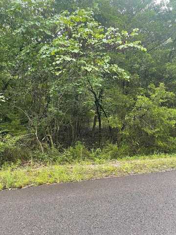 11 BRILLIANTE LANE, Hot Springs Village, AR 71909