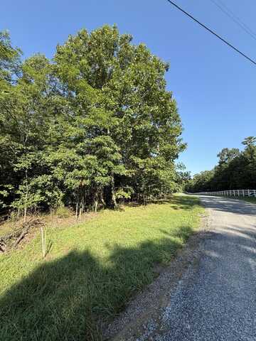 0 Bluff View Drive, Dunlap, TN 37327