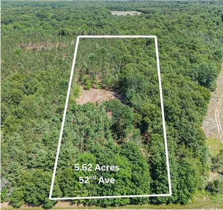 PARCEL E 52ND AVENUE, MEARS, MI 49436