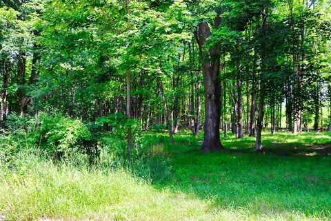 TBD DE TARS, CHARLEVOIX, MI 49720