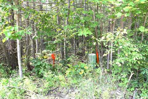1797 DERBY ROAD, INDIAN RIVER, MI 49749