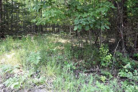 1825 DERBY ROAD, INDIAN RIVER, MI 49749